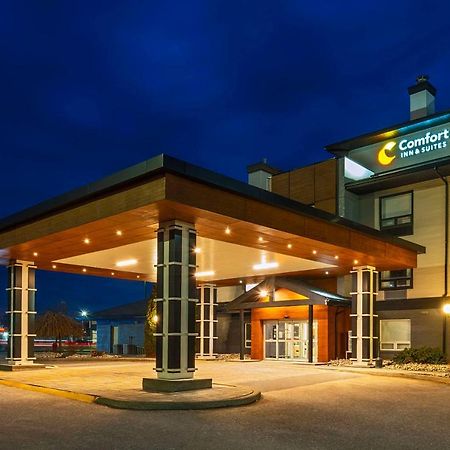 Comfort Inn & Suites Ingersoll Zewnętrze zdjęcie